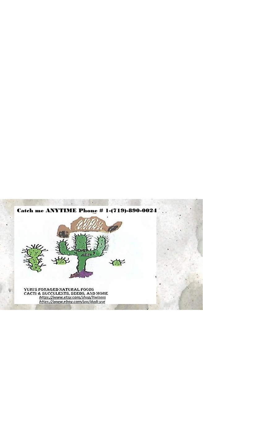 BizCard_Official